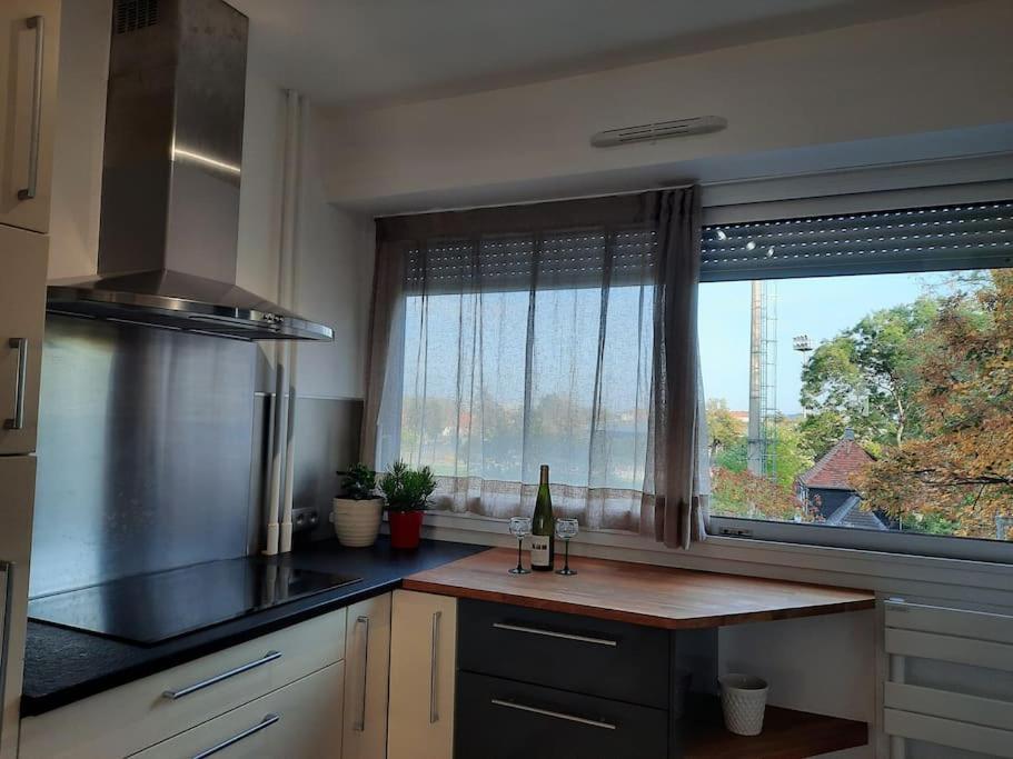 Ferienwohnung Chez Alice Colmar Exterior foto